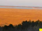 Fertőboz - 80 m2 - 84 000 000 Ft