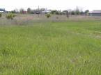 Dabas - 1300 m2 - 23 500 000 Ft
