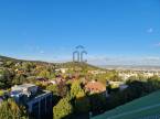 II.kerület - 50 m2 - 263 806 Ft/hó