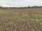 Győr - 10000 m2 - 193 000 000 Ft