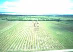Tagyon - 0 m2 - 5 900 000 Ft