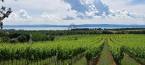 Tagyon - 24 m2 - 29 900 000 Ft