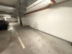 3231911