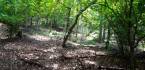 3198663