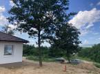 Pilisjászfalu - 62 m2 - 70 563 060 Ft